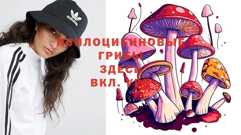 Псилоцибиновые грибы Magic Shrooms  Тетюши 